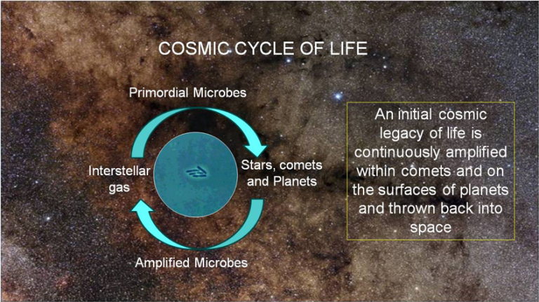 COSMIC CYCLE OF LIFE​ 5